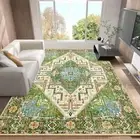 Boho Area Rug 5x7 Bohemian Washable for Living Room Bedroom Rugs Non-Slip Sta...