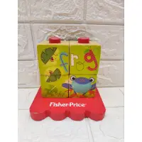 在飛比找蝦皮購物優惠-費雪 Fisher-Price 木製立體積木