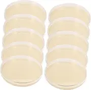 Agar Plates 10pcs Nutrient Agar Plate Toy Tools Glass Mushroom Tools Prepoured Petri Dish Petri Nutrient Prepoured Agar Petri Dishes With Cover Colombia