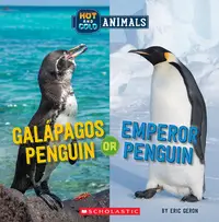 在飛比找誠品線上優惠-Galapagos Penguin or Emperor P