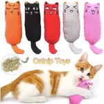 CAT TOYS FUNNY INTERACTIVE PLUSH TEETH GRINDING NIP TOY KIT1