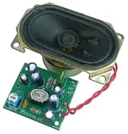 2 W Small Mono Amplifier comes with speaker [ Assembled kit ]