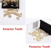 Dental Aesthetics Anterior Front/Posterior Molar Teeth Temporary Crown Veneers