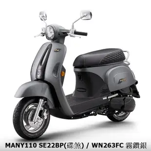 《KYMCO》光陽機車 Many 110 碟煞 七期 全新 SE22BP Many110進程車業 【機車工程師】