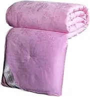 JSEIAJB Handmade Silk Quilt Silk Cotton Spring and Autumn Quilt Cold Quilt 2-in-1 Quilt Core(4kg)