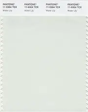 [Pantone] Smart 11-0304X Color Swatch Card, Water Lily