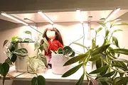 T5 LED Grow Lights, 3000-5000K White Full Spectrum Plant Lamps, 80W (Equivalent), 196 LED pcs Linkable, Plug and Play, 4 Packs