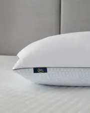 Serta Pack of 2 Summer & Winter Goose Feather Bed Pillows