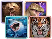 Cheatwell Magna Ball Puzzles Assorted (CHE03405)