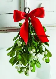 TAG Christmas Hanging Mistletoe, Dark Green (201244)