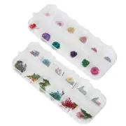 12 Colors / Box Dried Flower Nail Decoration DIY Nail Art Decoration Accesso BX5