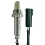 MTE-THOMSON 7885.40.033 Oxygen Sensor