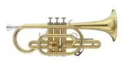 STAGG Bb BRASS CORNET w/ CASE - Shop Tested Prior to Shipping - NEW
