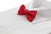 [Zasel] Boys Red Plain Bow Tie