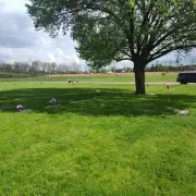 2 Cemetery Plots, Gravesites Forest Lawn Memory Gardens Greenwood, Indiana 46143
