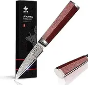 Damascus Paring Knife 3.5-inch Fruit and Vegetable Paring Knife 67-Layer Damascus with VG10 Cutting Core Peeling Knife with Full Tang Ergonomic Natural Wood Handle for Peeling