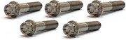 5 PACK RACEBOLTS TITANIUM BOLT 12 POINT M12 X 1.25 THREAD 70MM LONG GRADE 5 6AL-4V