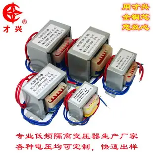 E型隔離變壓器220V轉220V110V 380轉220V 5W10W50W100W小型電源銅