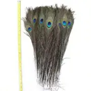Peacock Costume Dress Feathers Bracelet Necklace Crafts Plumes Decors Diy 10pcs