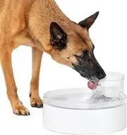 PetSafe Outlast Pumpless Pet Fountain, 3.7 Litre Capacity