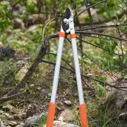 Long Scissor Hedge Anvil Shear, Anti-Slip Grip Garden Pruning Tool, Ratchet Cut