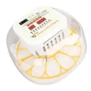 Incubator for 12 Eggs with Automatic Egg Turning and Humidity Control, Ventil...