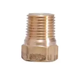 SONSBEEK Brass Hex Plug 1/4inch 2PK BL64HP04B