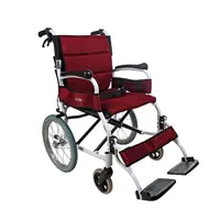 在飛比找蝦皮購物優惠-輪椅B款 / 超輕巧9.6公斤 小輪鋁合金輪椅- (小輪背可