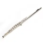Flute 16 Closed Hole C Tone E Key Musical Instrument Set Cupronickel with Case