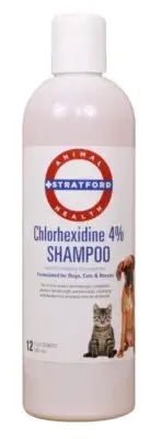 Chlorhexidine 4% Shampoo (Plum/Blueberry Scent) [Stratford] (12 oz)