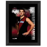 Essendon Bombers Stewart Grameri Signed Star Print Framed