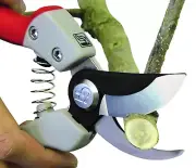 Pruning Shears Garden Scissors Chikamasa Japan Carbon Steel