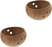 2 Pcs Flowerpot Plant Decor Orchid Pot Coir Hanging Baskets Hanging Orchid Pot Greenery Balcony Hanging Basket Hanging Pot Hanging Design Pot Metal Coconut Shell