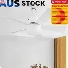 Socket Fan Light with Remote Timing Fan for Dining Room (Square B22 to E26/27)