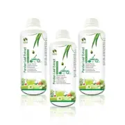 3 bottles Pandan Leaf Extract Liquid (1kg per bottle) Antioxidant-Free Shipping