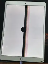 在飛比找露天拍賣優惠-蘋果 Apple iPad Pro 64G 10.5吋 WI