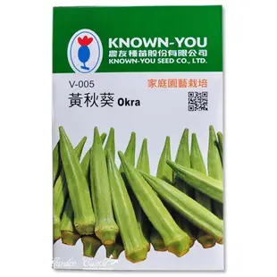 【全館590免運】黃秋葵~Okra~種子 約25粒