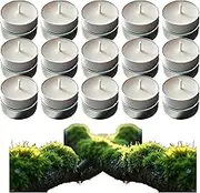 Scented Tealight Candles - Morning Dew & Fresh Tree Moss - Up to 4 Hour Burn - 30 Pack Brown Tea Lights