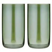2pc Tempa Verity Highball Tumbler Drinking Glass Crystal Clear Barware Set Fern