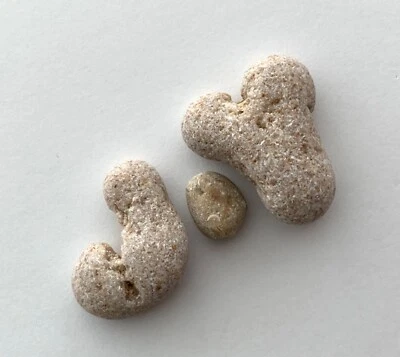 Natural Letter Shaped JOY Beach Stones Rocks pebble art Name craft Word sign US