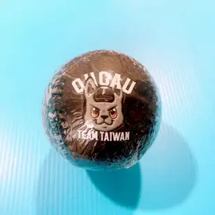 2022 中華職棒 TEAM TAIWAN 歐告 紀念棒球