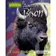 American Bison: A Scary Prediction