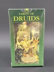 TAROT OF DRUIDS - 78 Card Deck - Lo Scarabeo Bepi Vigna Sealed!