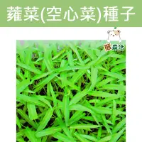 在飛比找Yahoo!奇摩拍賣優惠-～全館滿790免運～蕹菜 種子 ( 空心菜 ) 短期葉菜【熊