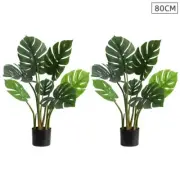 2X 80cm Artificial Indoor Potted Turtle Back Fake Decoration Tree Flower Pot Pla