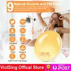 Wake Up Light Alarm Clock Sunrise/Sunset Dual Alarm & Snooze FM Radio Night Lamp