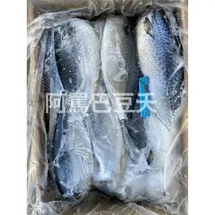 台灣鯖魚片/各規格/薄鹽/約6000g