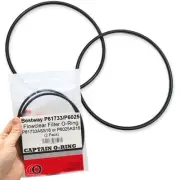 Captain O-Ring P61733/P6025 O-Rings for Bestway Flowclear Filter Pumps (2 Pack)