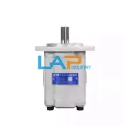 1Pcs New Gear oil pump CBTD-F420-ALP