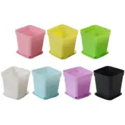 3 Inch Square Plastic Succulent Pots with Hole for Seedling Succulent Vegetable
